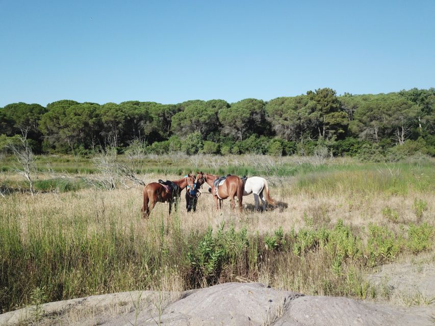 Alghero: Guided Horseback Ride at Lake Baratz & Porto Ferro - The 2-hour horseback hack that ties Lake Baratz to Porto Ferro