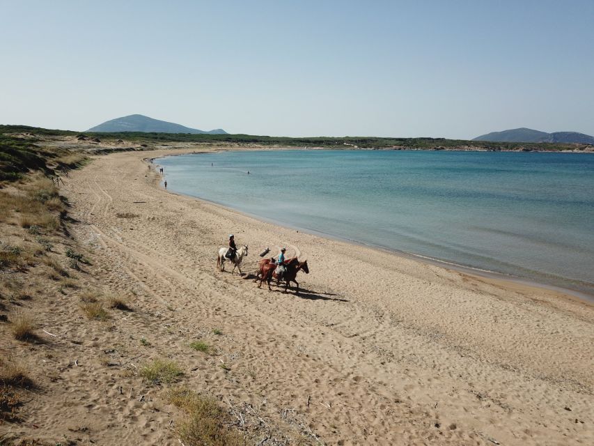 Alghero: Guided Horseback Ride at Lake Baratz & Porto Ferro - Should you book the Alghero horseback ride to Lake Baratz and Porto Ferro?