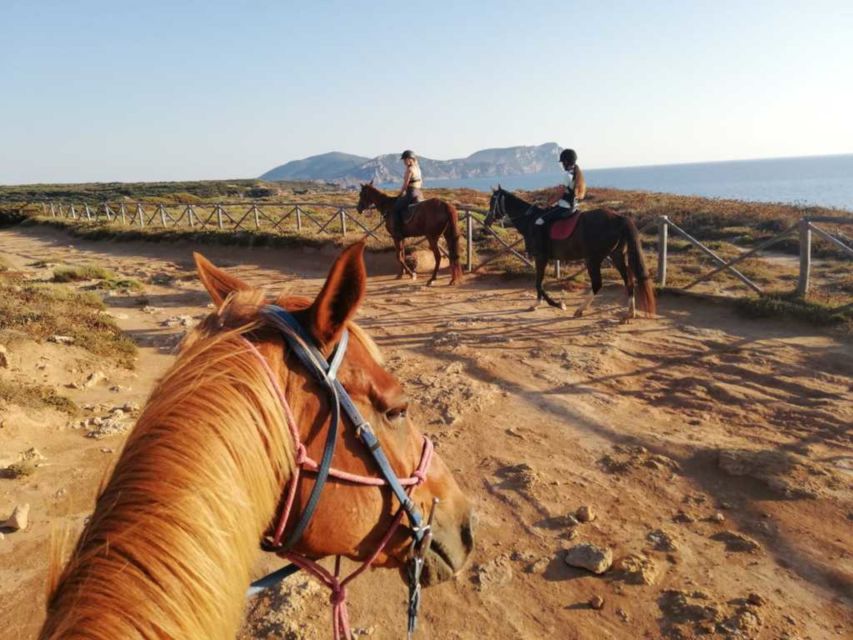 Alghero: Guided Horseback Ride at Lake Baratz & Porto Ferro - Meeting the horses: calm mounts and close guidance for beginners