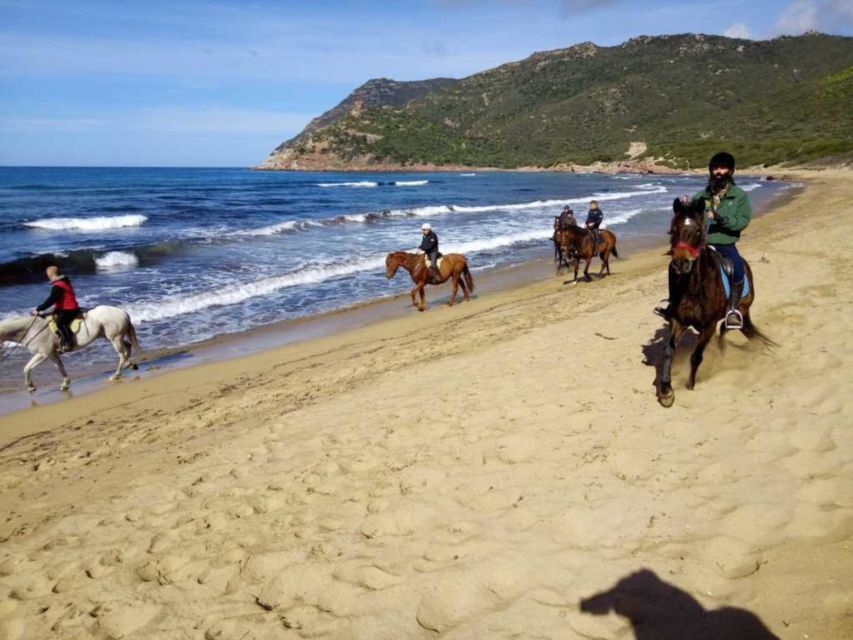 Alghero: Guided Horseback Ride at Lake Baratz & Porto Ferro - From forest paths to giant dunes: the ride gets sand in its shoes