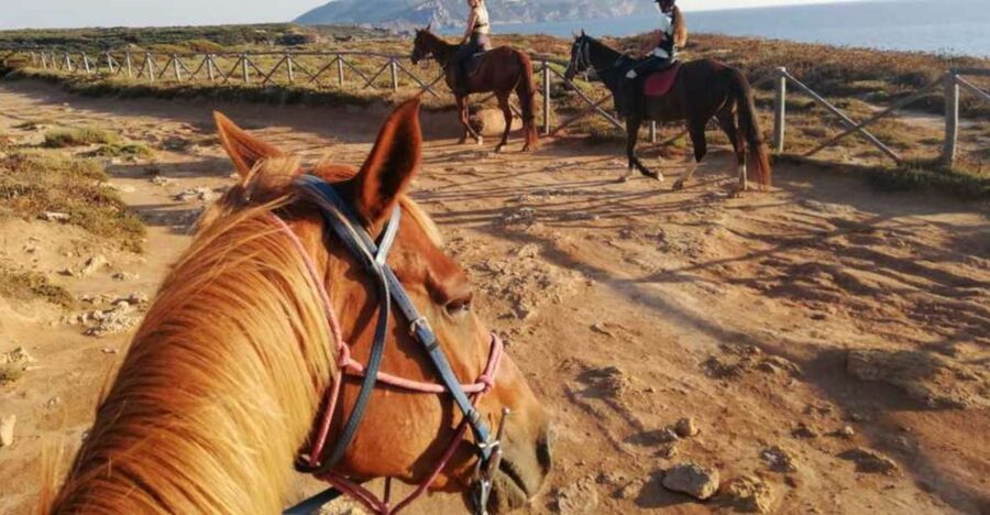 Alghero: Guided Horseback Ride at Lake Baratz & Porto Ferro - Lake Baratz: the rare freshwater lake that gives the ride its Sardinian mood