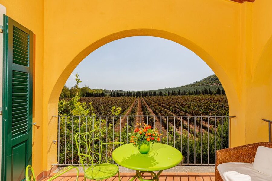 Alghero: Wine and Olive Oil Tasting at a Local Farm - Key things you should know before you go
