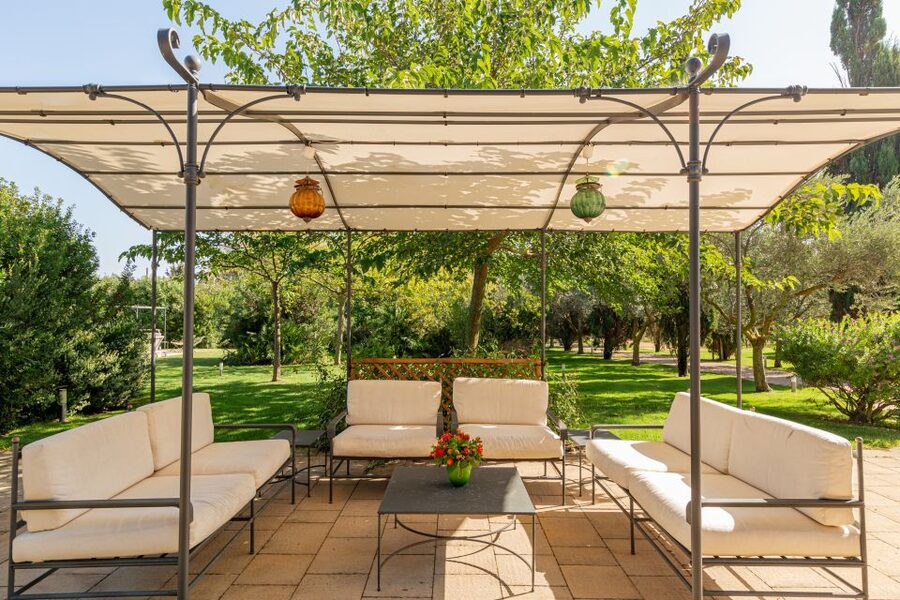 Alghero: Wine and Olive Oil Tasting at a Local Farm - The vineyard and olive grove walk: pictures and fresh air