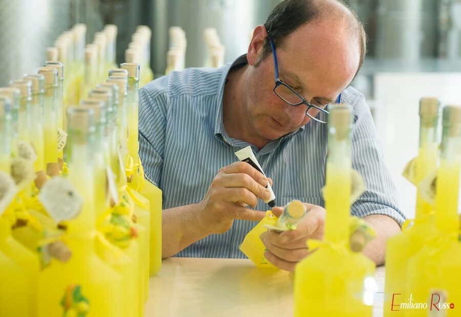 Amalfi: Vertical Lemon Farm Tour, Tastings, and Rural Museum - What the Tastings Really Teach You About Amalfi Lemons
