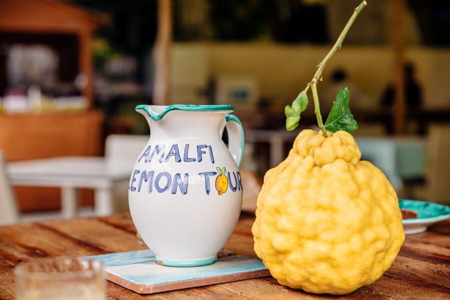 Amalfi: Vertical Lemon Farm Tour, Tastings, and Rural Museum - Who This Tour Is Best For (and Who Should Skip It)