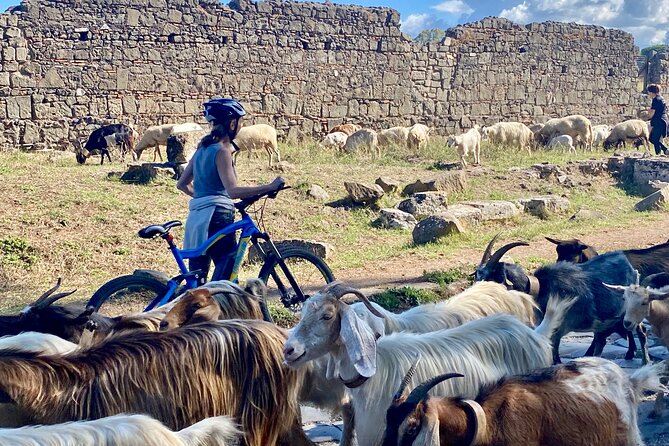 Appian Way & Aqueducts small group e-bike tour(catacombs & food) - Catacombs of San Callisto, and the real-world schedule changes