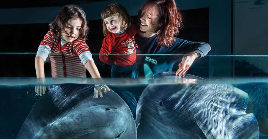 Aquarium of Cattolica Entry Ticket - Key points at a glance