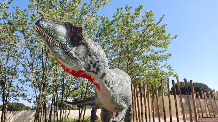 Aquarium of Cattolica Entry Ticket - World of Dinosaurs in summer: fossil digging and big prehistoric models
