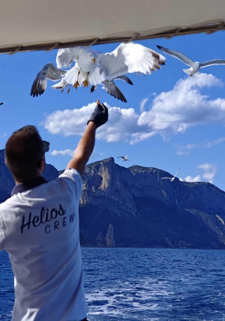 Arbatax: Gulf of Orosei Day Tour by Boat - The Day’s Clock: Marina di Arbatax To 5 PM Back Home