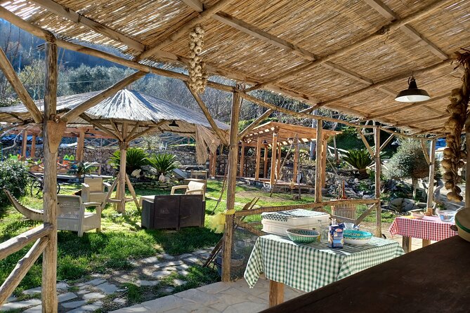 Authentic Farm Tour with Pizza, Cheese, Wine & Limoncello Tasting - A half-day on a working farm above Sorrento