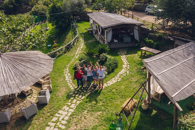 Authentic Farm Tour with Pizza, Cheese, Wine & Limoncello Tasting - Where you meet, start time, and how the day is paced