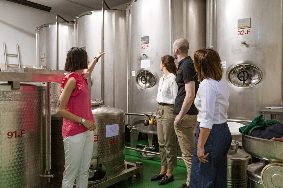 Bardolino: Lake Garda Oil Mill Tour with Olive Oil Tasting - Bardolino Olive Oil at the Lake Garda shoreline, why this tour hits