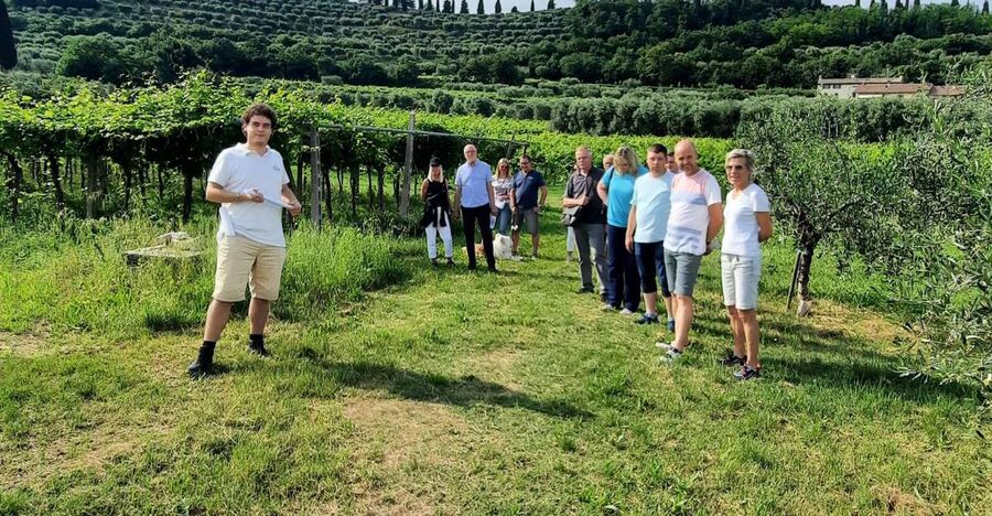 Bardolino: Vineyard Tour with Wine, Olive Oil & Food Tasting - Key things you will notice on this Bardolino tasting