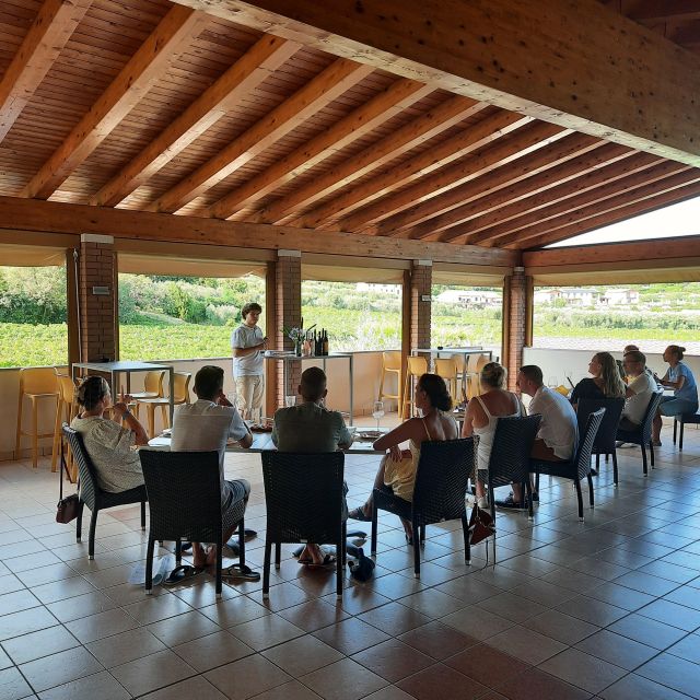 Bardolino: Vineyard Tour with Wine, Olive Oil & Food Tasting - The vineyard walk above Bardolino: grapes, weather, and the production method