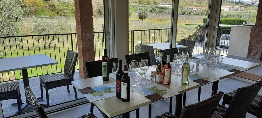 Bardolino: Vineyard Tour with Wine, Olive Oil & Food Tasting - Olive trees, extra virgin olive oil, and why it gets its own moment