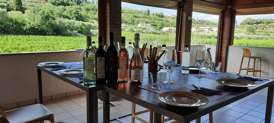 Bardolino: Vineyard Tour with Wine, Olive Oil & Food Tasting - Where to meet at Agriturismo La Rocca, and how the tour runs
