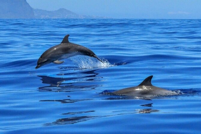 Boat tour Giardini Naxos Taormina Isola Bella Blue Grotto - Price and value: what you get for $48.37