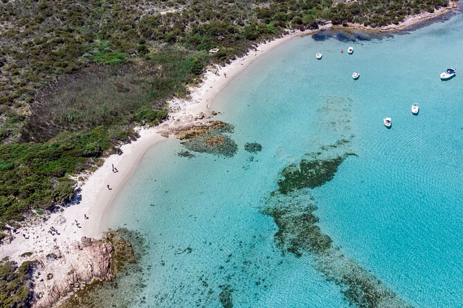 Boat trip La Maddalena Archipelago - Departure from Palau - Santa Maria swim from the boat: when the tour turns into fun