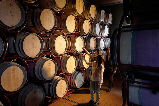 Bolgheri: Classic Wine Tasting with Winery Tour - Snacking With Bread and Extra Virgin Olive Oil