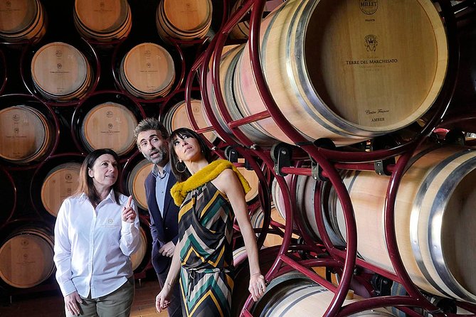 Bolgheri: Classic Wine Tasting with Winery Tour - Group Size, Language, and What to Ask Your Guide