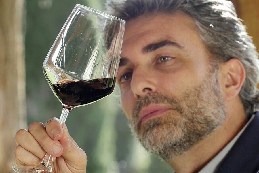 Bolgheri: Winery Tour with Wine Tasting - Who Should Book This Bolgheri Wine Tour (and Who Should Skip)