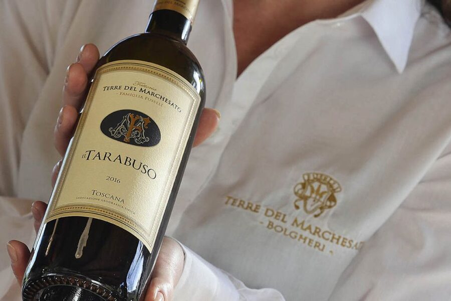 Bolgheri: Winery Tour with Wine Tasting - Inside the Winery: How Grape to Glass Fits Together
