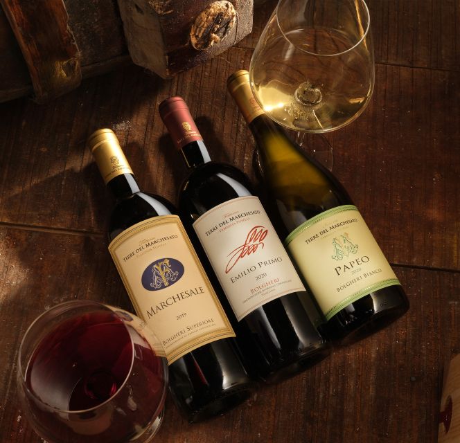 Bolgheri: Winery Tour with Wine Tasting - Price and Value: Is $29 for a 1-Hour Winery Tour a Good Deal?