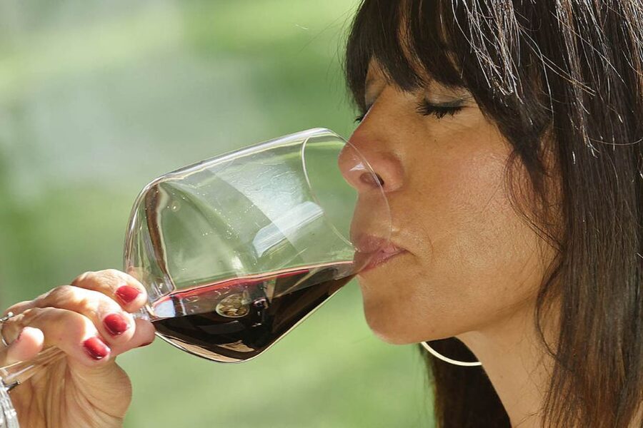 Bolgheri: Winery Tour with Wine Tasting - Practical Notes That Actually Matter