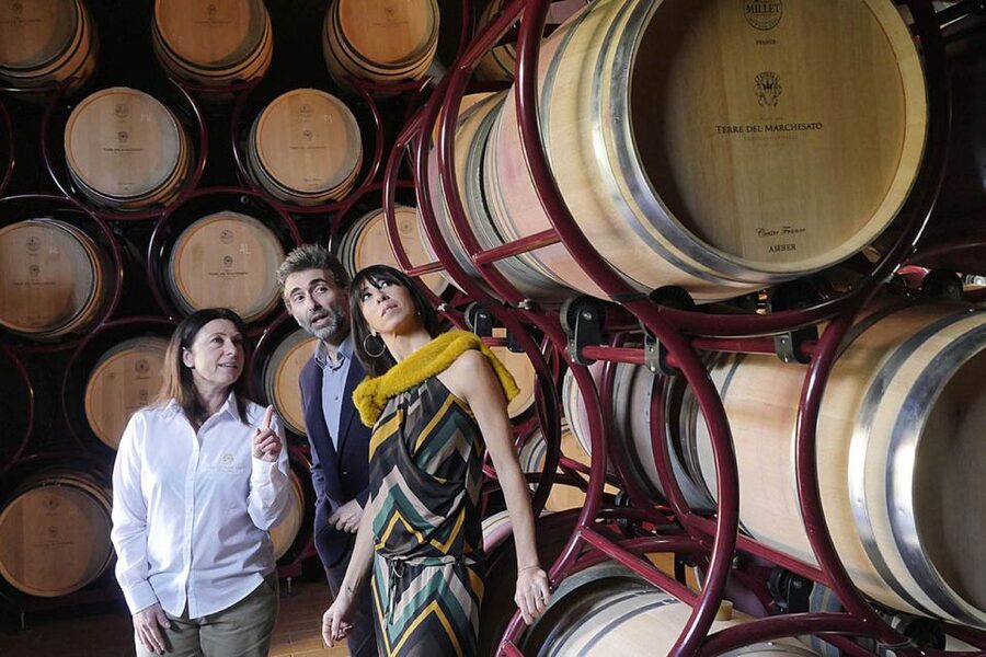 Bolgheri: Winery Tour with Wine Tasting - Getting There, Timing, and What to Bring