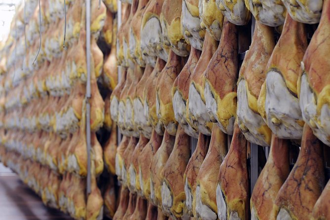 Bologna Food Experience: Factory tours & Family-Style Lunch - Stop 3 in Castelvetro di Modena: traditional balsamic in the barrel room