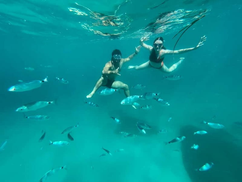 Cagliari: Boat Tour with 4 Swim Stops, Snorkeling & Prosecco - The 3-hour flow: what happens from meeting to return