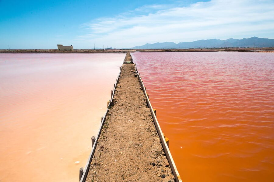 Cagliari: Conti Vecchi Salt Flats Train and Tour - Luigi Conti Vecchi and Why His Name Still Matters Here