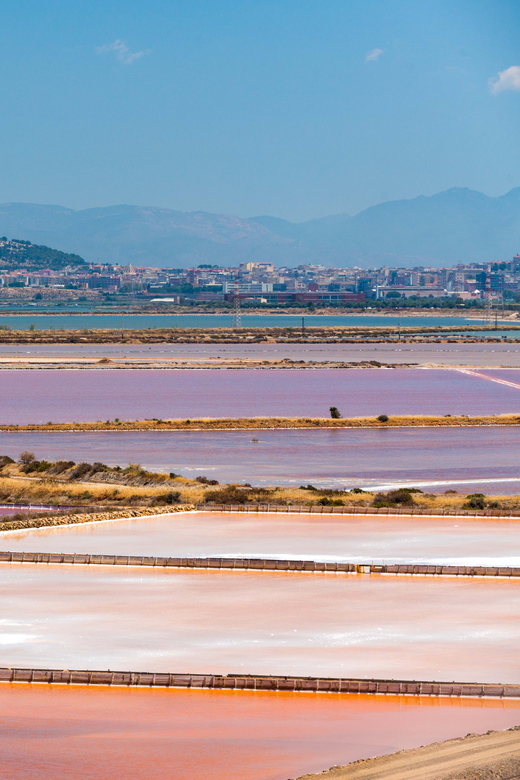 Cagliari: Conti Vecchi Salt Flats Train and Tour - Who Should Book This Salt Flats Train and Tour?