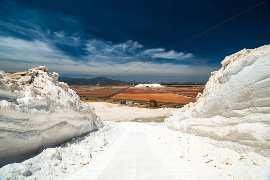 Cagliari: Conti Vecchi Salt Flats Train and Tour - Museum Stops That Explain Salt Like a System, Not a Legend
