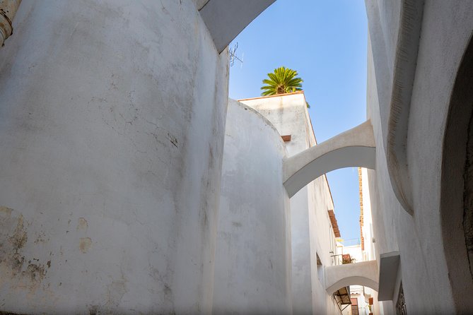 Capri and Blue Grotto Day Tour from Naples or Sorrento - Jetfoil To Capri: Why Speed Matters On A Day Trip