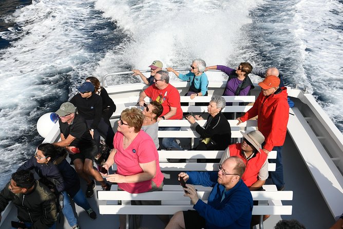 Capri Coast to Coast: Boat Tour with Optional Blue Grotto - Should You Book Capri Coast to Coast with Optional Blue Grotto?