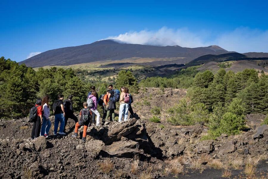 Catania: Amazing Etna Morning Tour with Pickup and Drop-Off - Monti Sartorius: Breaks, Views, and Volcanic Vegetation