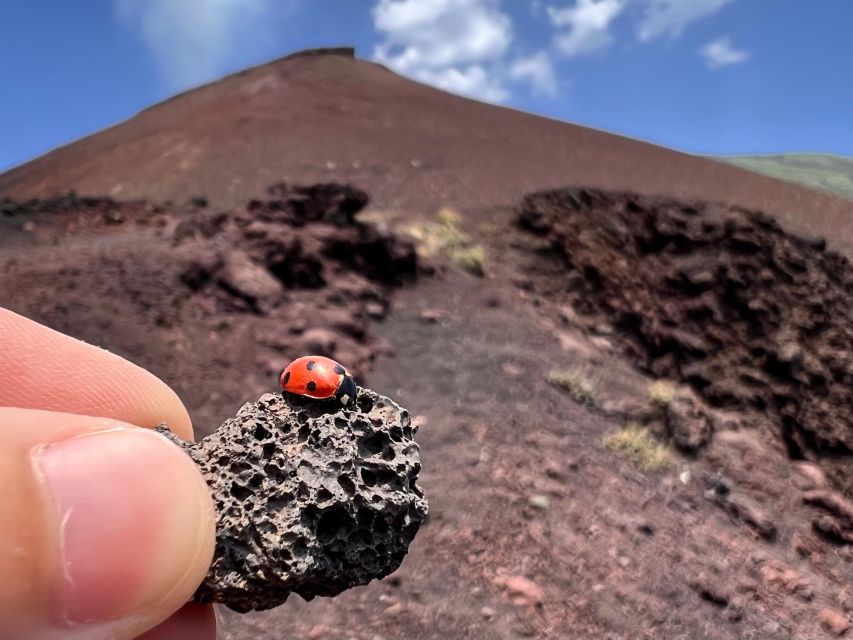 Catania: Etna Morning Excursion with Tasting and Pickup - Weather changes and the safety-first approach