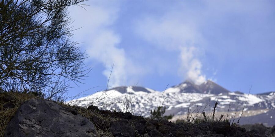 Catania: Etna Nature Tour with Hiking, Cave Visit, & Tasting - Choosing Your Way Up: Walking vs Cable Car and Jeep Bus