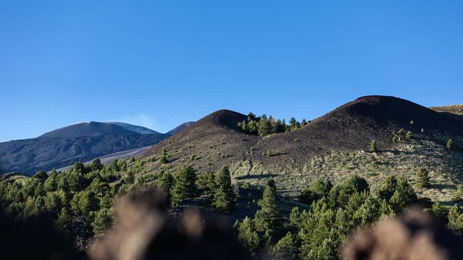 Catania: Etna Nature Tour with Hiking, Cave Visit, & Tasting - Inside a Lava Cave: Helmet and Lamp Time