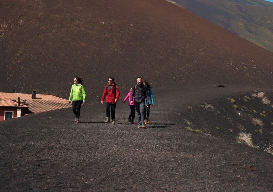 Catania: Etna Nature Tour with Hiking, Cave Visit, & Tasting - The Farm Tasting: Honey, Olive Oil, Wine, and More