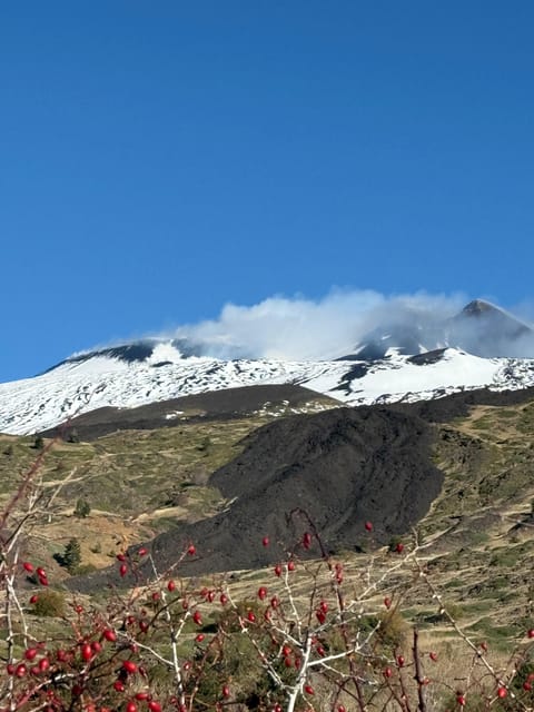 Catania: Morning Jeep Tour of Mount Etna and Lava Flow Caves - Walking Pace, Footwear, and Wind-and-Ash Reality
