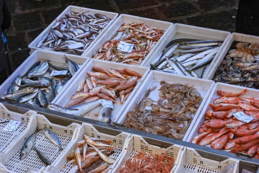 Catania: Street Food Guided Walking Tour - Key highlights in 5 stop, 3 hour form