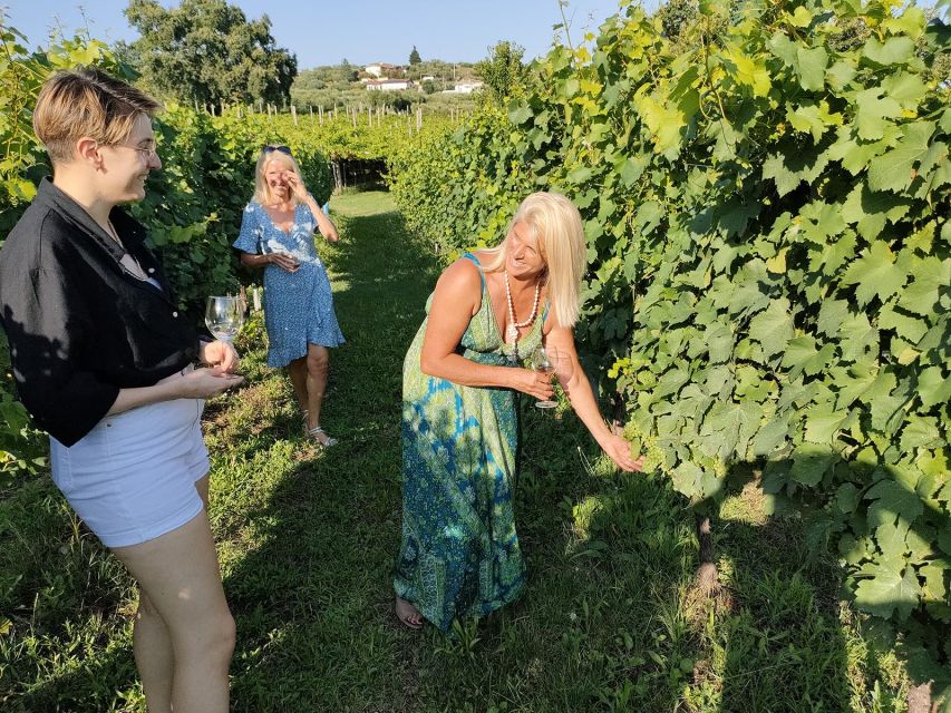 Cavaion: Lake Garda Wine & Food Tasting with Vineyard Tour - Key Points You Should Know