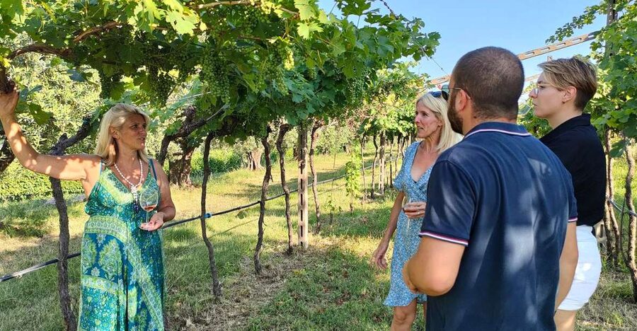 Cavaion: Lake Garda Wine & Food Tasting with Vineyard Tour - A Quiet Inland Wine Stop Just Outside Garda
