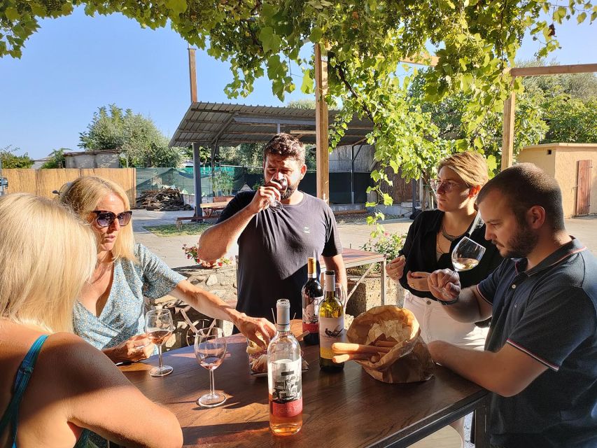 Cavaion: Lake Garda Wine & Food Tasting with Vineyard Tour - The Winery Shop: Olive Oil, Honey, Jams, and Grappa for Take-Home Flavor