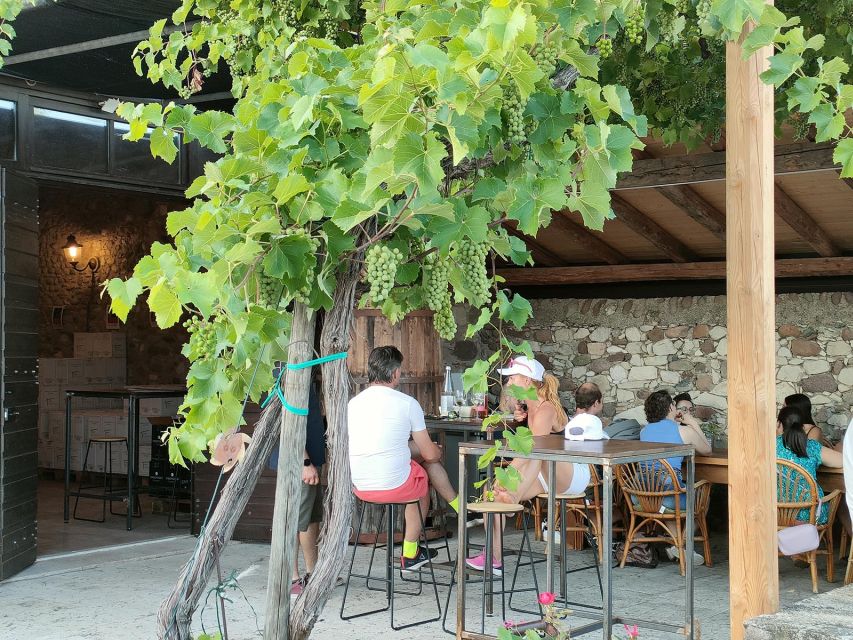Cavaion: Lake Garda Wine & Food Tasting with Vineyard Tour - Vineyard Walk, Grape Arbor Shade, and How the Farm Works