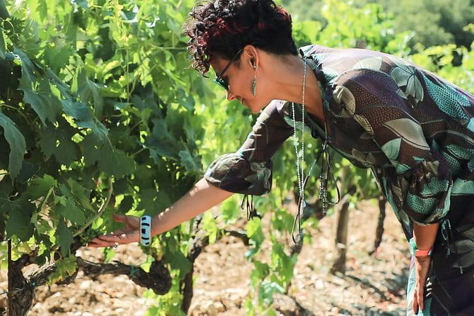 Chianti Wine Tour from Florence - Via Chiantigiana first, wine second, and why that order matters