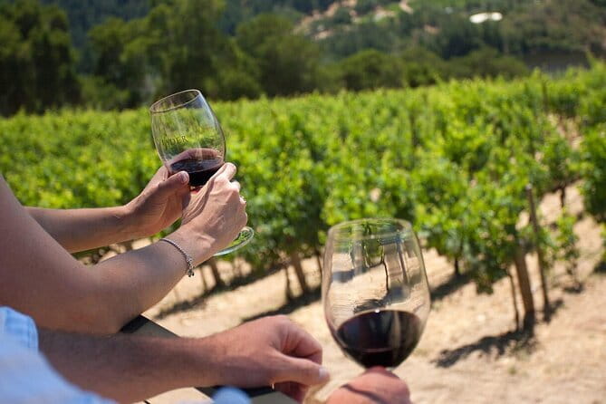 Chianti Wine Tour from Florence - Food pairings: bruschetta, pecorino, balsamic, and local tasting plates