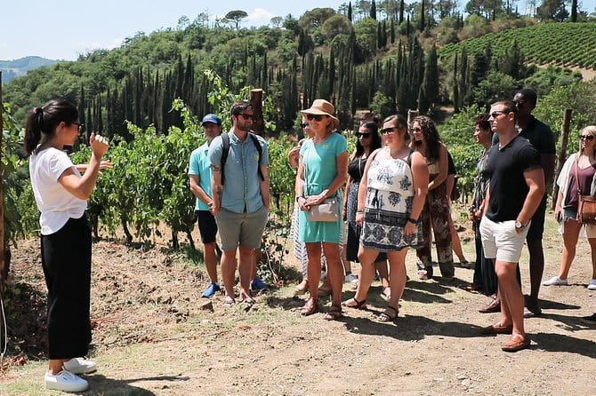 Chianti Wine Tour from Florence - Price and logistics: what $59.13 buys you in real life